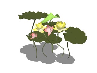 现代植物荷花荷叶su模型下载，荷花荷叶草图大师模型分享