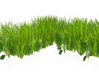 菰绿植sketchup模型，现代观叶植物skp文件下载
