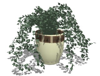 常春藤盆栽植物su模型，园艺花草sketchup模型下载