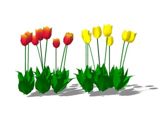 郁金香花卉植物skb模型分享，花卉su模型免费下载