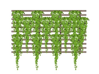 垂直绿化植物墙su模型下载，爬山虎背景墙草图大师模型