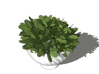 现代植物盆栽草图大师模型,植物盆栽sketchup模型下载