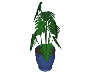 龟背竹盆栽sketchup模型，手绘绿植草图大师模型下载