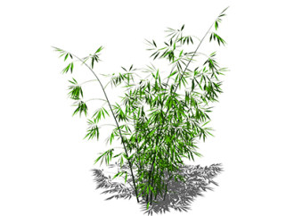 倭竹植物su模型，景观绿植草图大师模型下载