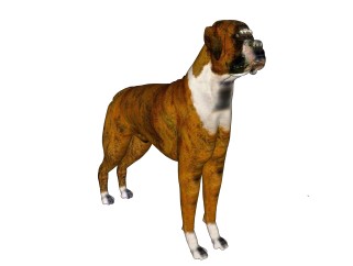 现代德国拳师犬sketchup模型，动物草图大师模型下载