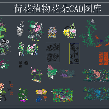 荷花植物花朵 CAD图库,图库CAD建筑图纸下载