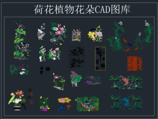 荷花植物花朵 CAD图库,图库CAD建筑图纸下载