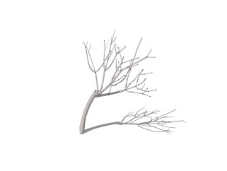 现代景观枯树SU模型，植物树草图大师模型下载