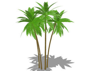 棕榈树乔木su模型，景观绿植草图大师模型下载