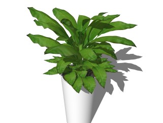 芭蕉盆栽植物su模型，园艺花草sketchup模型下载
