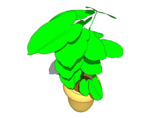 绿萝盆栽sketchup模型，手绘绿植草图大师模型下载