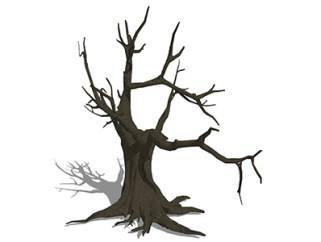 枣树枯树乔木草图大师模型，景观绿植sketchup素材下载