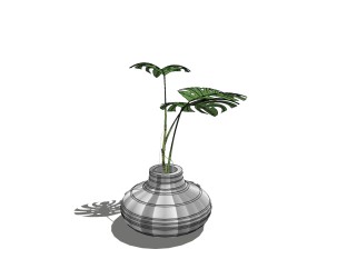 植物盆栽 sketchup模型，龟背竹盆栽SU模型下载