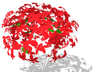 鸡爪槭现代植物su模型，绿植花草图大师模型下载