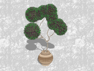 绿石竹盆栽草图大师模型下载，家居植物盆景sketchup模型