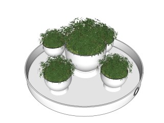 现代植物盆栽sketchup模型，植物盆栽草图大师模型下载