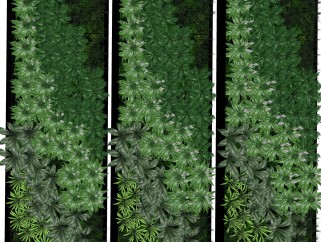 清香木植物墙sketchup模型，室内植物墙skp文件下载