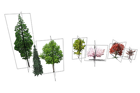 喜树乔木草图大师模型，景观绿植sketchup素材下载