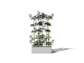 现代竹子盆栽skb模型分享，竹子草图大师模型下载