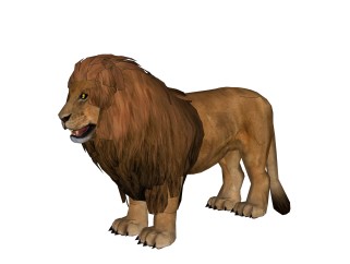 现代狮子草图大师模型，动物sketchup模型下载