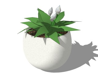 球形花盆植物su模型，白鹤芋花艺草图大师模型下载