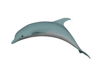 现代宽吻海豚sketchup模型，动物草图大师模型下载