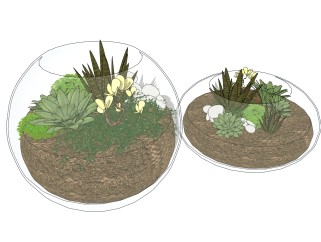 现代植物盆栽 草图大师模型下载，盆栽sketchup模型下载