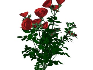 玫瑰绿植sketchup模型，现代观花植物skp文件下载