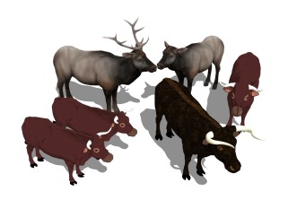 现代牛群动物草图大师模型，牛群动物sketchup模型免费下载