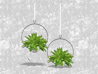 巴西美人盆栽草图大师模型，家居植物sketchup模型下载