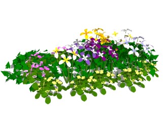 铁线莲花草植物skb模型分享，植物花草图大师模型免费下载