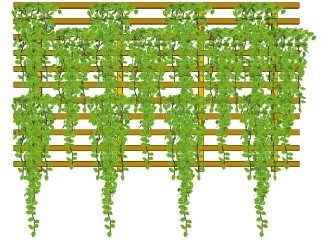 垂直绿植物墙su模型下载，花叶蔓长春花背景墙草图大师模型