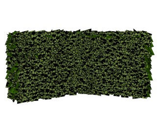 海桐灌木丛su模型，常绿灌木草图大师模型下载