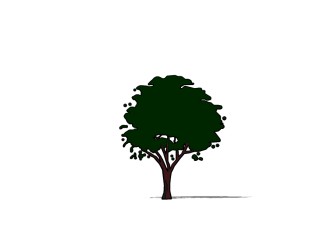   现代2D景观树草图大师模型，2D树木sketchup模型