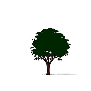   现代2D景观树草图大师模型，2D树木sketchup模型