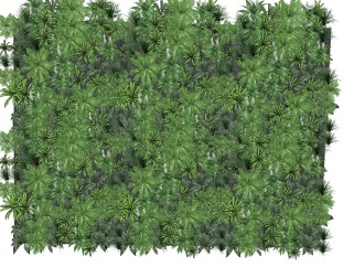 长叶肾蕨植物墙sketchup模型，室内植物墙skp文件下载