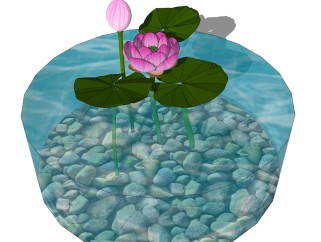 盆荷绿植sketchup模型，现代花卉植物skp文件下载
