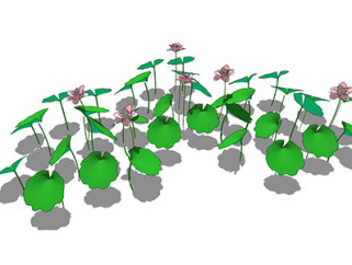 荷花现代植物su模型，绿植花草图大师模型下载