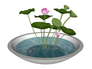 盆荷绿植sketchup模型，现代花卉植物skp文件下载