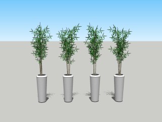 现代竹子盆栽su模型免费下载，竹子skp文件下载