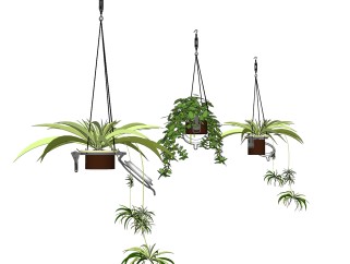 吊兰盆栽植物su模型，园艺花草sketchup模型下载