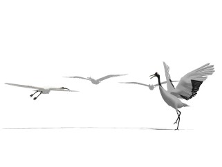 现代飞禽动物草图大师模型，飞禽动物sketchup模型免费下载