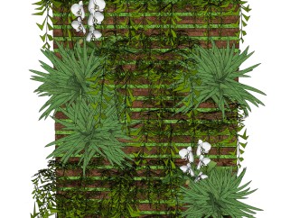 石菖蒲植物墙sketchup模型，室内植物墙skp文件下载