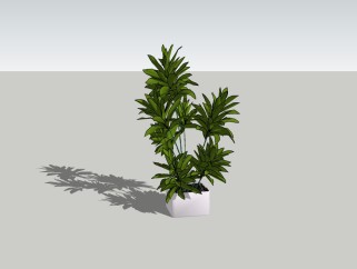 百合竹植物盆栽免费su模型，盆栽百合竹草图大师模型