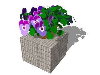三色菫花草su素材，景观绿植草图大师模型下载