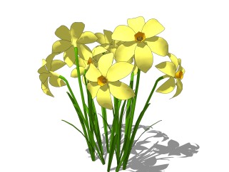 水仙绿植sketchup模型，现代观花植物skp文件下载